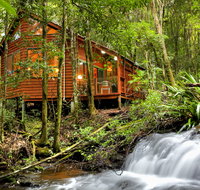 The Mouses House - Rainforest Retreat - Accommodation Nelson Bay