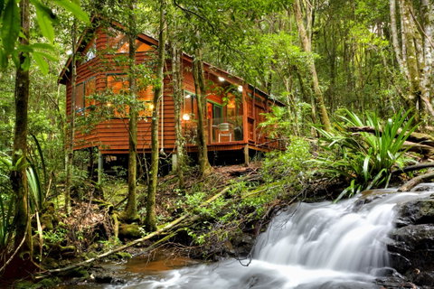 The Mouses House - Rainforest Retreat - Accommodation Nelson Bay 0