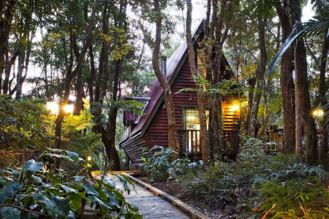 The Mouses House - Rainforest Retreat - Accommodation Nelson Bay 2