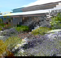 Ti Tree Cottage - Nelsons Bay Accommodation