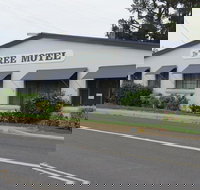 Tree Motel - Nelson Bay Accommodation.com