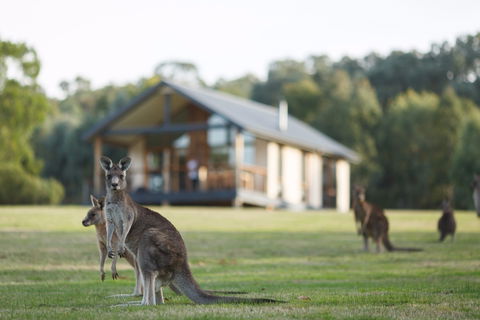 Yering Gorge Cottages - Accommodation Nelson Bay 0