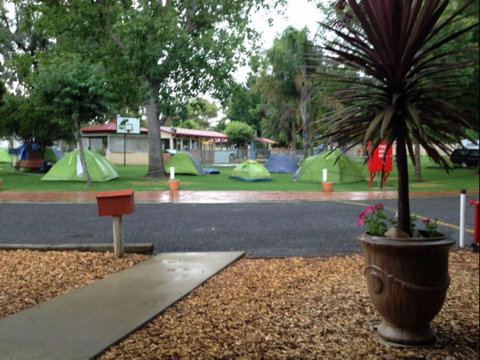 Young Caravan Tourist Park - Accommodation Nelson Bay 0