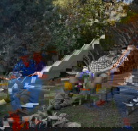 Zeehan Bush Camp - Accommodation Nelson Bay