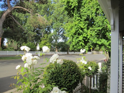 Arendon Cottage - Nelsons Bay Accommodation 1