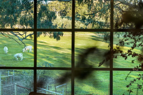 Australia Suite - Accommodation Nelson Bay 1