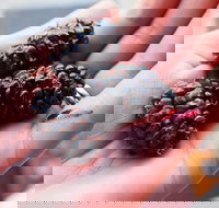 Baileys Lane - Accommodation Nelson Bay