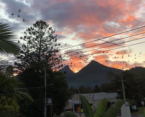 Chesson Lodge- In The Heart Of Uki - Accommodation Nelson Bay 0