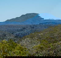 Finchley campground - Accommodation Nelson Bay