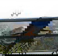 Hatters Hideout Lyres Loft - Accommodation Nelson Bay