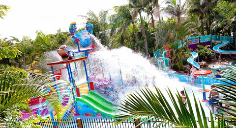 North Star Holiday Resort - Accommodation Nelson Bay 1