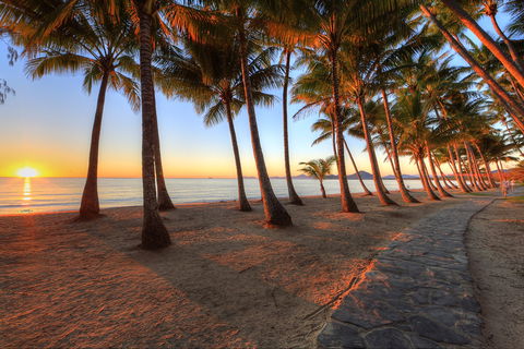 NRMA Palm Cove Holiday Park - Accommodation Nelson Bay 0