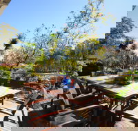 Oyster Catcher Jervis Bay - Accommodation Nelson Bay