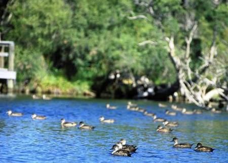 Comfort Inn Yanchep - Accommodation Nelson Bay 4