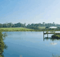 Forest Rise Eco Retreat - Accommodation Nelson Bay