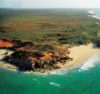 Eco Beach Wilderness Retreat - Accommodation Nelson Bay 2