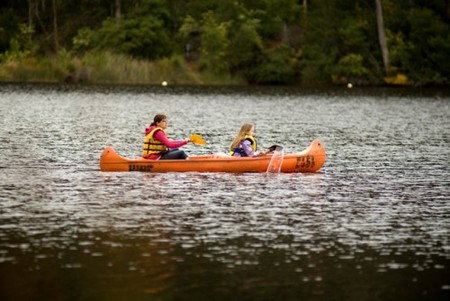 Karri Valley Resort - Accommodation Nelson Bay 1