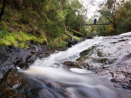 Karri Valley Resort - Accommodation Nelson Bay 2