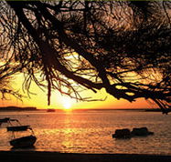 Pelican's Nest - Accommodation Nelson Bay