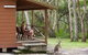 Hungry Head Cabins - thumb 1