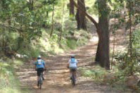 Craigmhor Mountain Retreat - Accommodation Nelson Bay 2