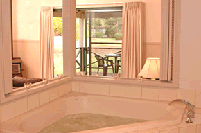 Bushy Lake Chalets - Accommodation Nelson Bay 3