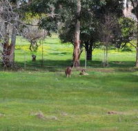 Chalets on Stoneville - Accommodation Nelson Bay