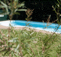 Alluna Motel - Accommodation Nelson Bay