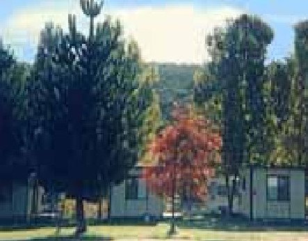 Anglers Reach Caravan Park - Accommodation Nelson Bay 0