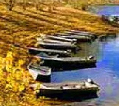 Anglers Reach Caravan Park - Accommodation Nelson Bay 2