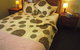 Nutkin Lodge - thumb 1