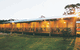 The Koorabup Motel - thumb 1