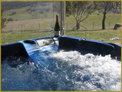 Henlie Park Bed & Breakfast - Accommodation Nelson Bay 1