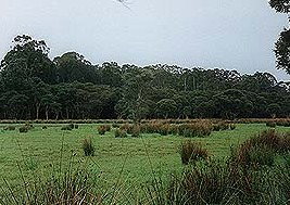 Bush Haven - Accommodation Nelson Bay 4