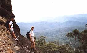 Mimosa Hill Wildflower Farm Cottages - Accommodation Nelson Bay 0