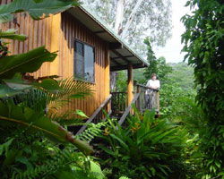 Milkwood Lodge - Accommodation Nelson Bay 2