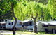 Pemberton Caravan Park - thumb 2