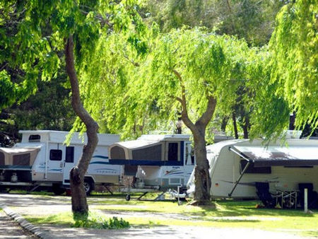 Pemberton Caravan Park - Accommodation Nelson Bay 2