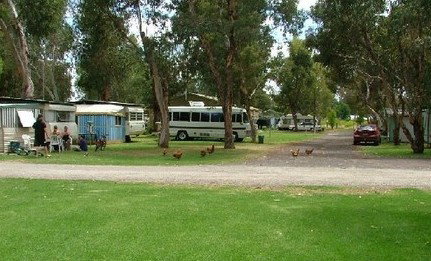 Harvey Rainbow Caravan Park - Accommodation Nelson Bay 0