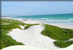 Trigg Retreat Bed And Breakfast - Accommodation Nelson Bay 5