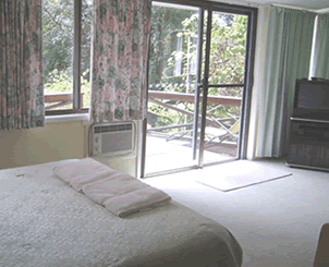 Sentosa Hideaway - Accommodation Nelson Bay 4