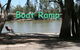 Barham Caravan And Tourist Park - thumb 6