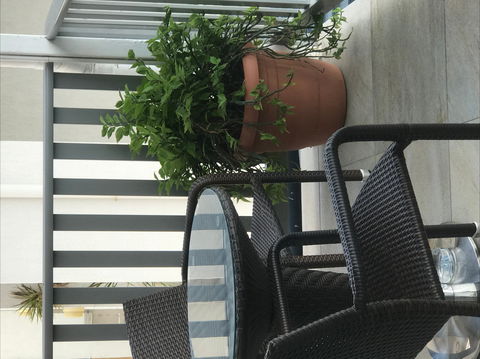 Airlie Court Units - Accommodation Nelson Bay 2