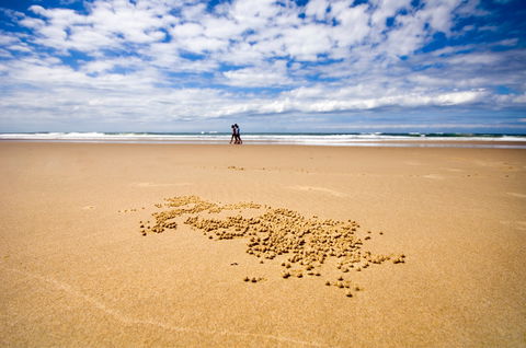 BIG4 Nambucca Beach Holiday Park - Accommodation Nelson Bay 1