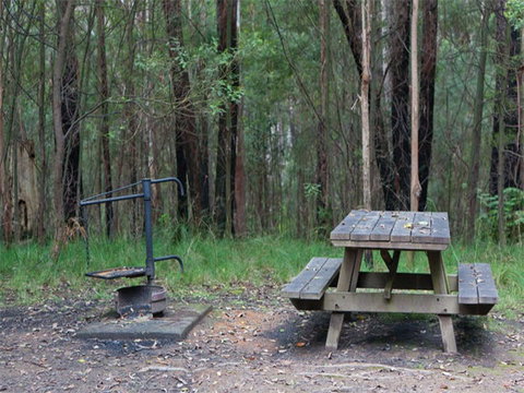 Boundary Falls Campground And Picnic Area - Accommodation Nelson Bay 0