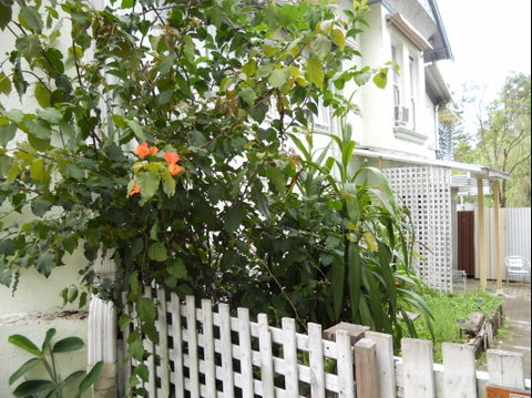 Chatswood Inn - Nelson Bay Accommodation.com 1