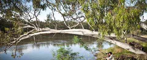 Hay Caravan Park - Accommodation Nelson Bay 1