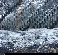 High Peaks Cottages - Accommodation Nelson Bay