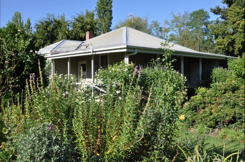 Honeysuckle Cottage - Accommodation Nelson Bay 0
