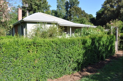 Honeysuckle Cottage - Accommodation Nelson Bay 1